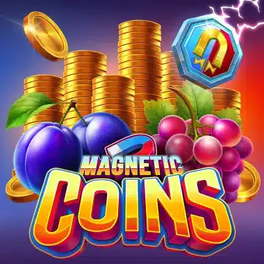 Playmojo Magnetic Coins
